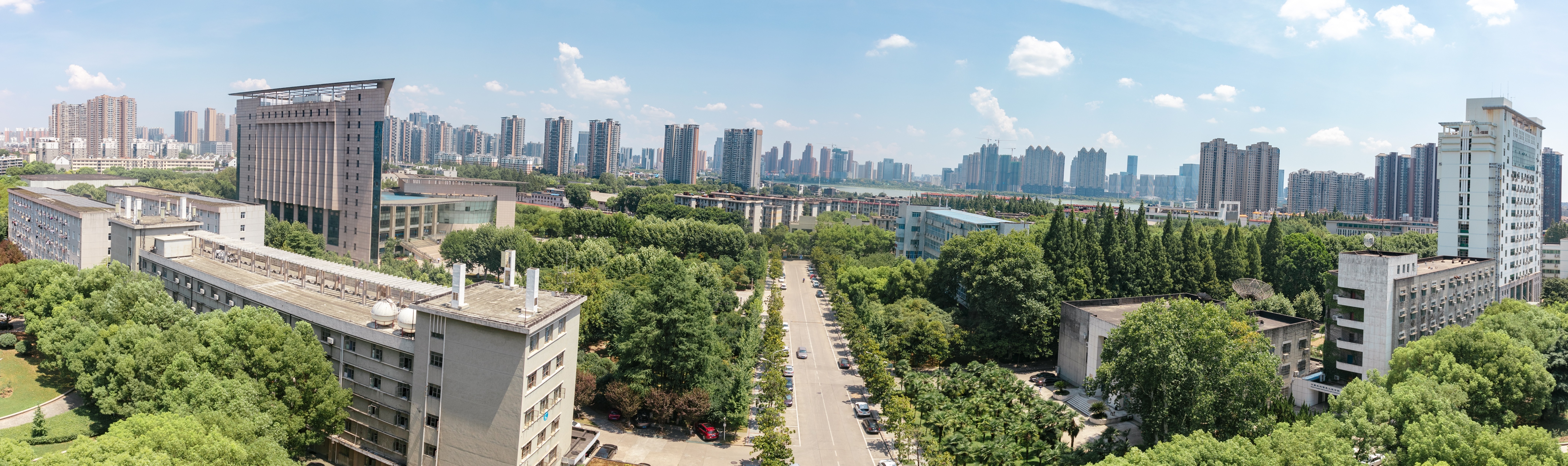 明星3缺1电脑版下载