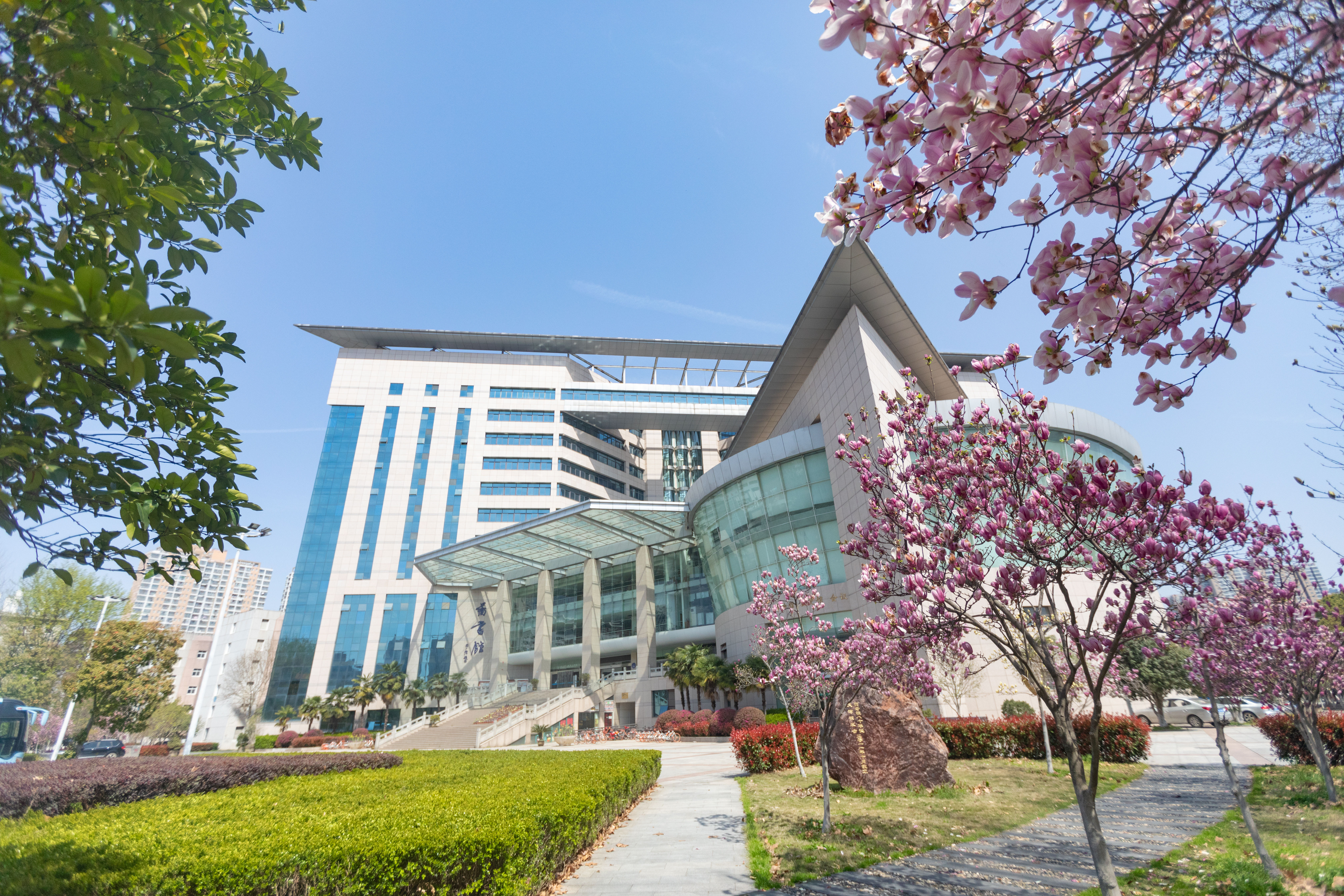 明星3缺1电脑版下载