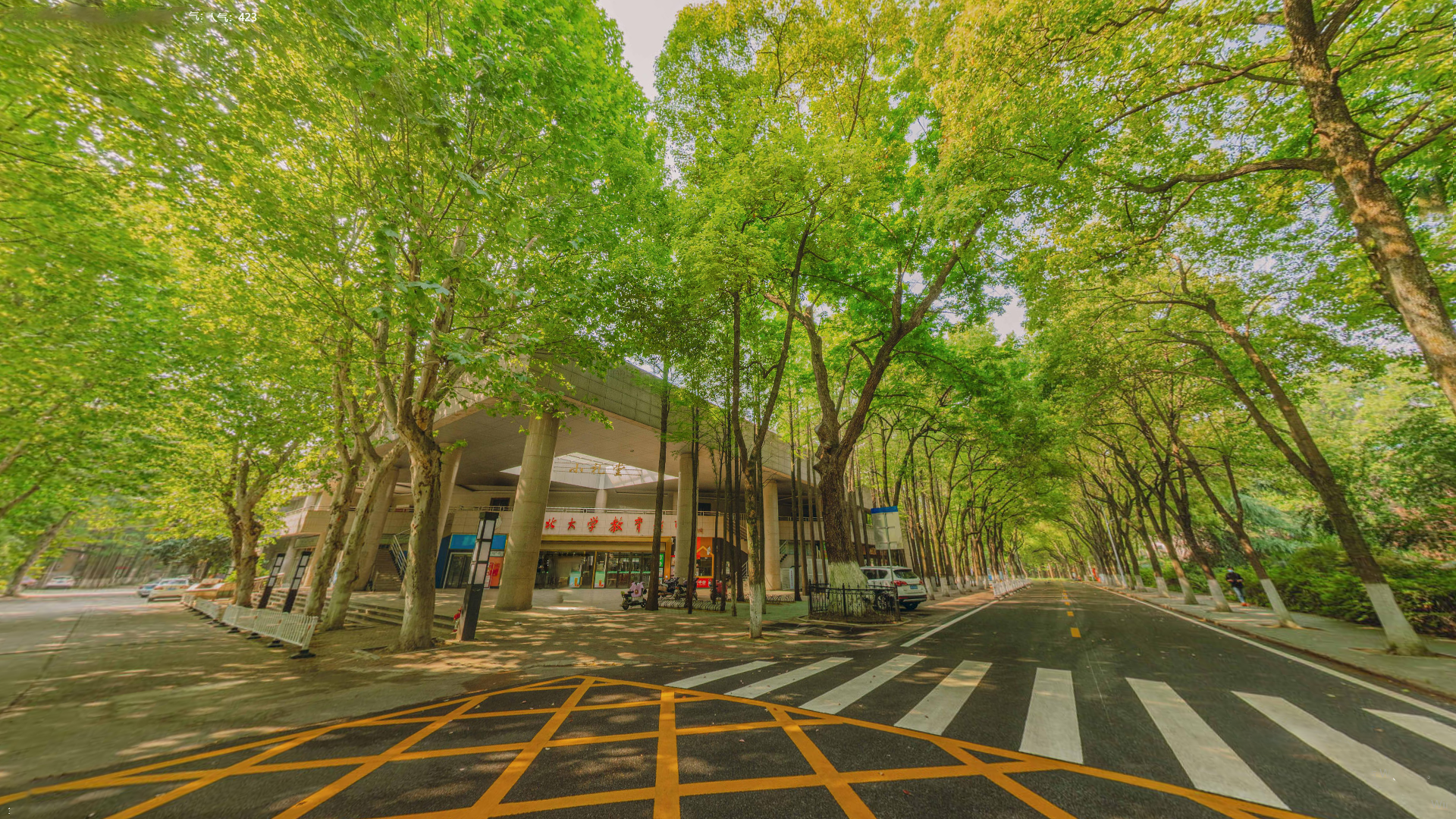 明星3缺1电脑版下载